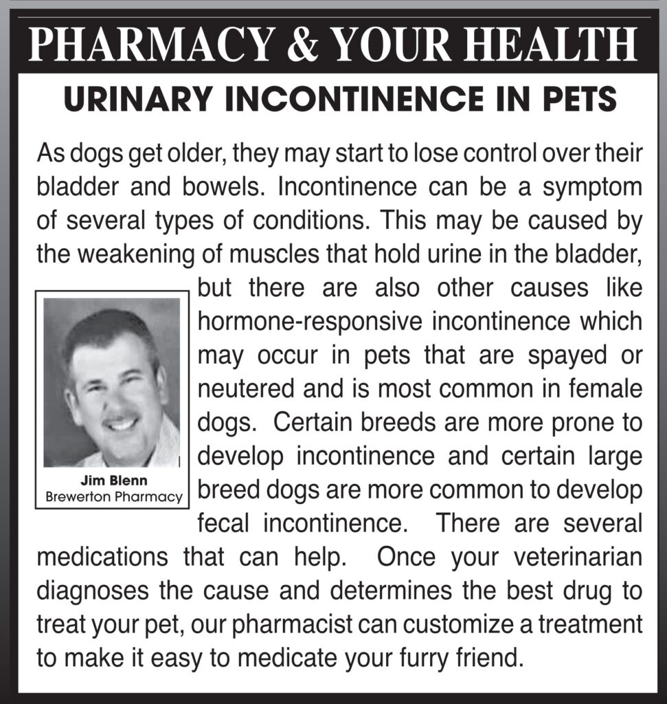 Urinary Incontinence in Pets